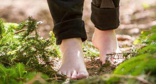 Por qué debes caminar descalzo por el bosque