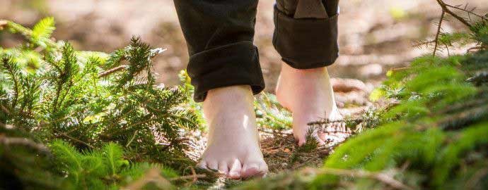 Por qué debes caminar descalzo por el bosque