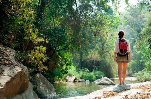 Cinco forma de curar la separación con la naturaleza
