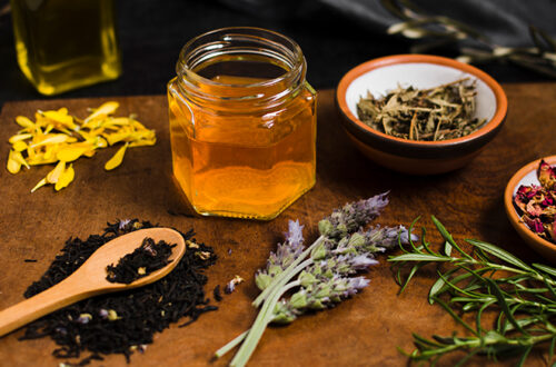 Extractos herbales de alta calidad