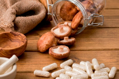Suplementos de hongos medicinales