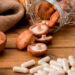 Suplementos de hongos medicinales